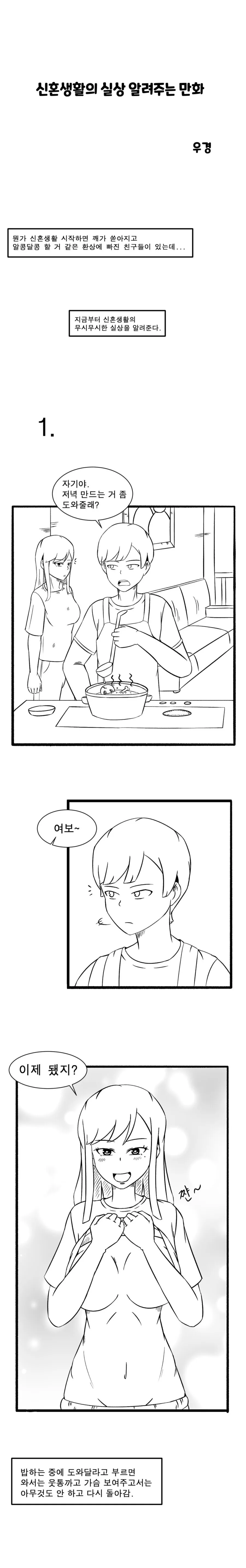 ㅇㅎ) 신혼생활의 실상 알려주는 만화.manhwa