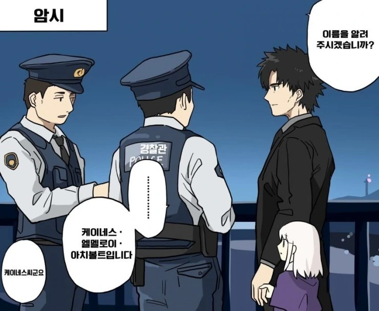 Fate) 검문받는 만화.Manhwa