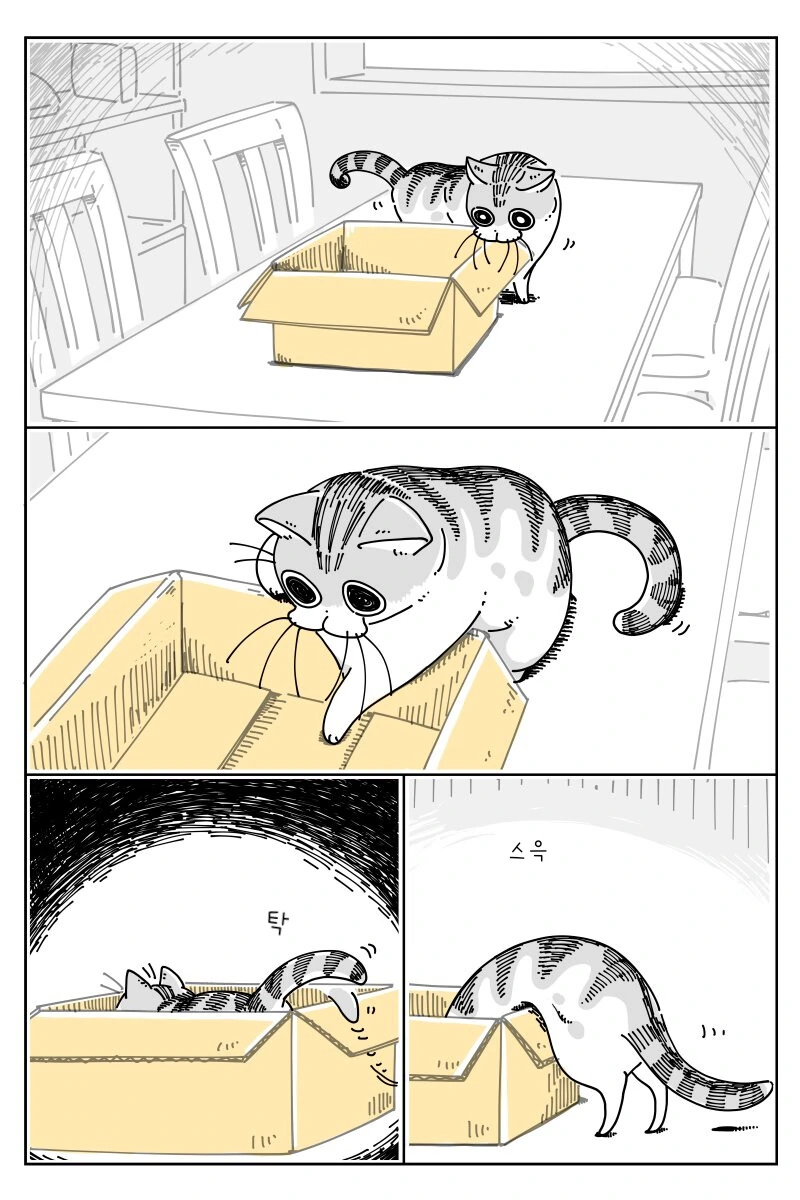 귀여운 고양이.manhwa