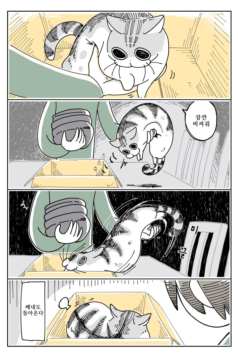 귀여운 고양이.manhwa - 이미지 3