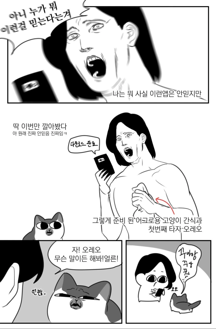 고양이어 번역앱 써본.manhwa - 이미지 2