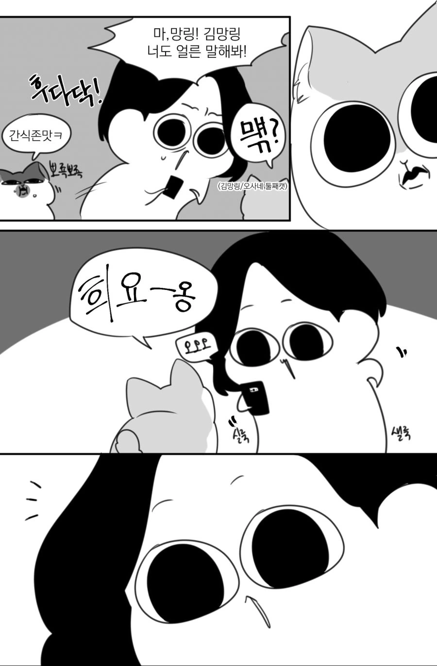고양이어 번역앱 써본.manhwa - 이미지 4