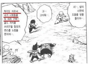 드래곤볼) 베지터가 제일 싫어하는 거