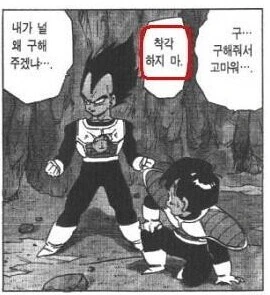 드래곤볼) 베지터가 제일 싫어하는 거 - 이미지 2