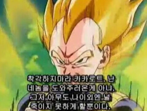 드래곤볼) 베지터가 제일 싫어하는 거 - 이미지 3
