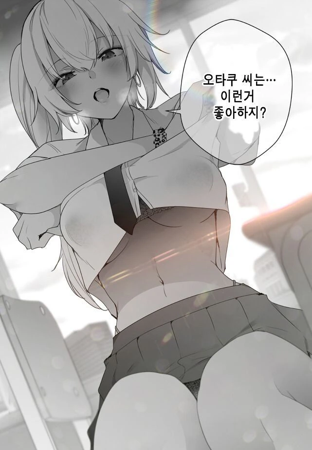 ㅎㅂ) 오타쿠씨는 이런거 좋아하지?