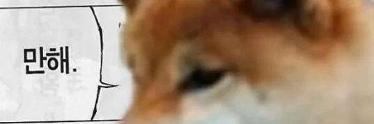 블리치) 실제로 보면 생각보다 귀여운 대장 - 이미지 4