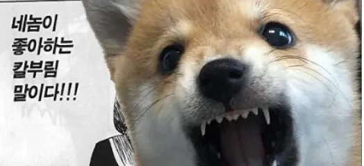 블리치) 실제로 보면 생각보다 귀여운 대장 - 이미지 5