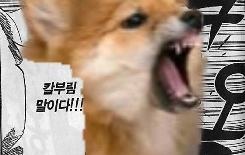 블리치) 실제로 보면 생각보다 귀여운 대장 - 이미지 6