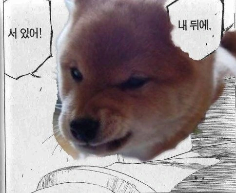 블리치) 실제로 보면 생각보다 귀여운 대장 - 이미지 9