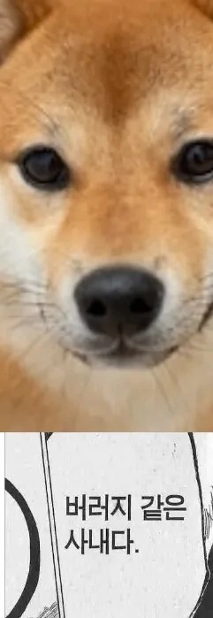 블리치) 실제로 보면 생각보다 귀여운 대장 - 이미지 10