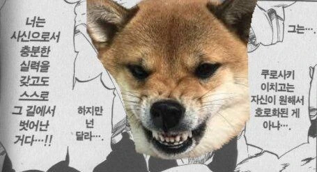 블리치) 실제로 보면 생각보다 귀여운 대장 - 이미지 13