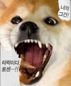 블리치) 실제로 보면 생각보다 귀여운 대장 - 이미지 14