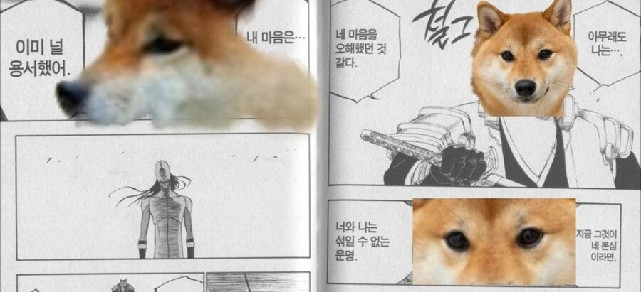 블리치) 실제로 보면 생각보다 귀여운 대장 - 이미지 17