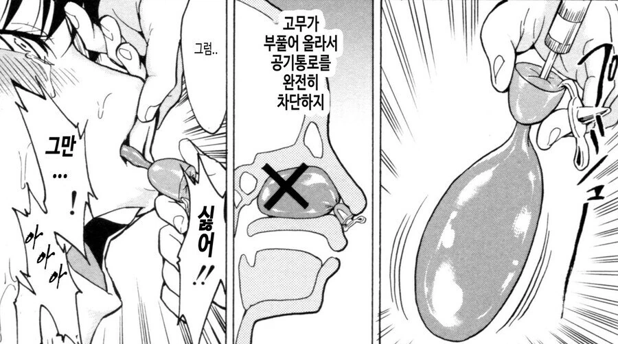 약혐) 히토미에 나온 끔찍한 고문법