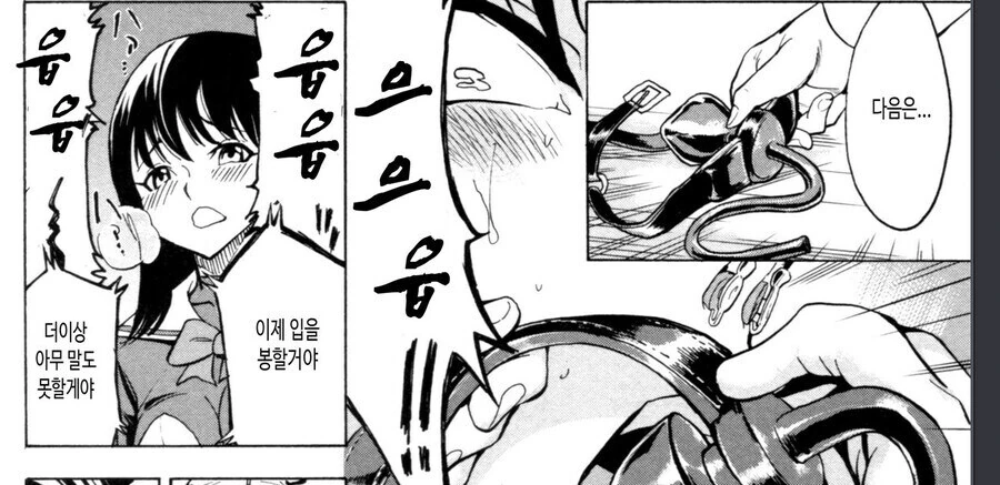 약혐) 히토미에 나온 끔찍한 고문법 - 이미지 3
