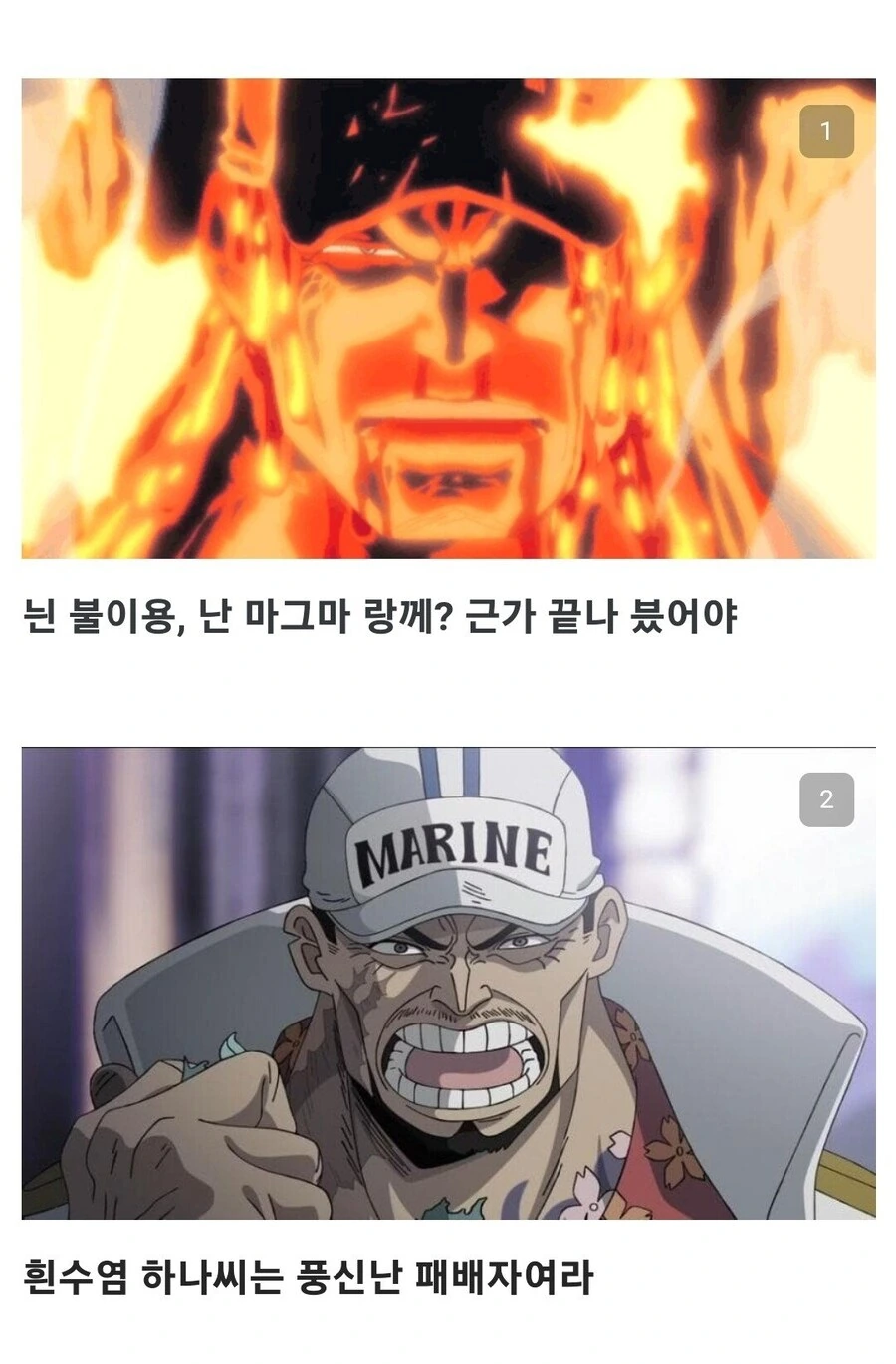 원피스)아카이누 대사를 원문 그대로 번역하면