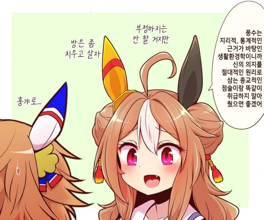 말딸) 풍수지리 vs 사이비