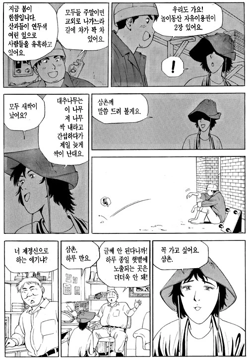 만화 식객 양다리 걸치는 주인공 - 이미지 5