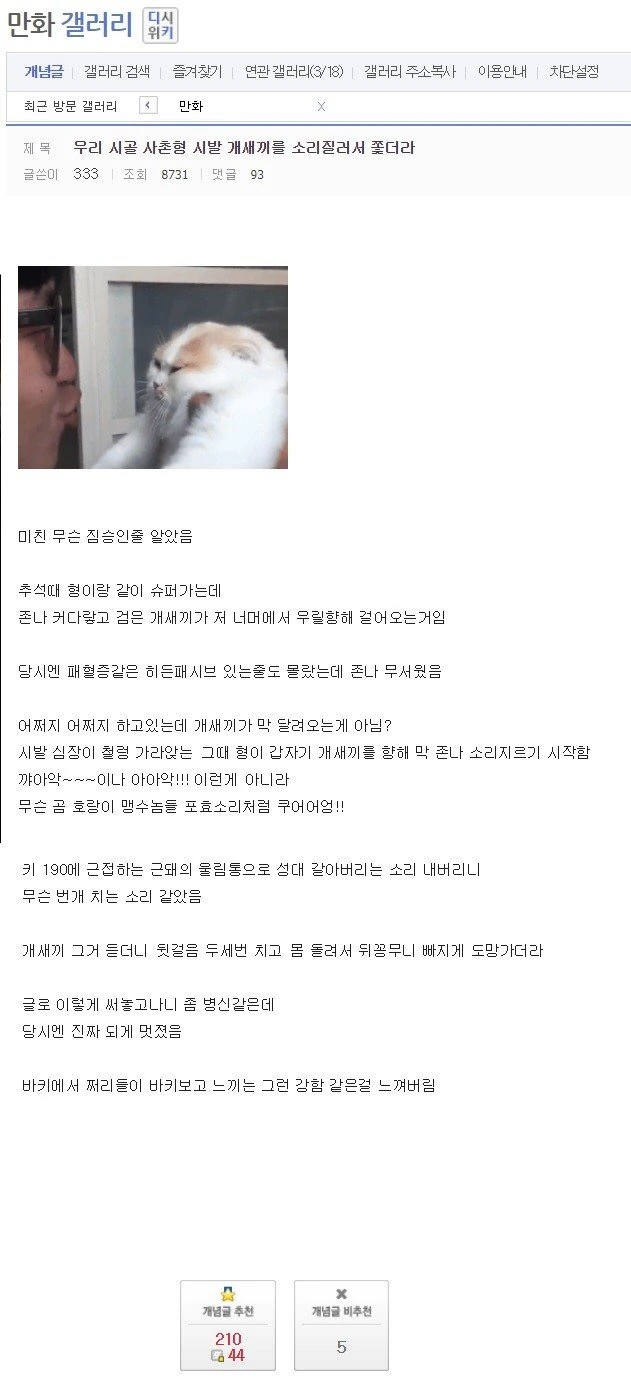 사촌형 레전드 썰.manwha