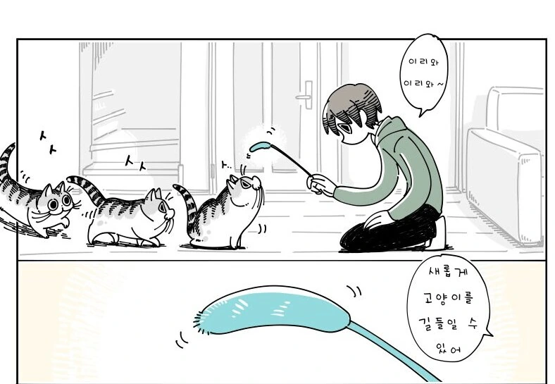 귀여운 고양이 큐루가.manhwa