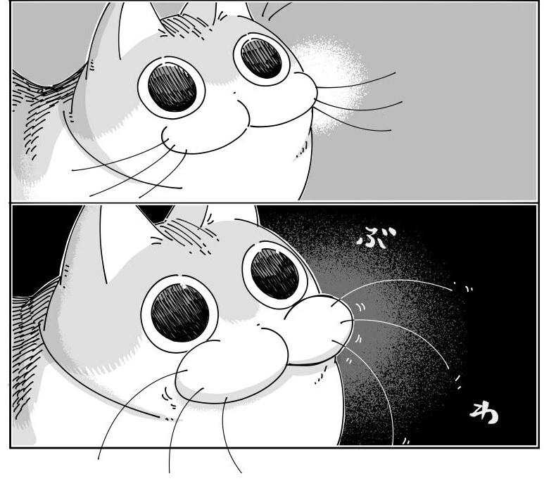 귀여운 고양이 큐루가.manhwa - 이미지 2