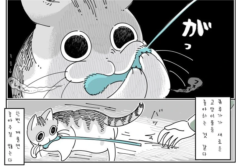 귀여운 고양이 큐루가.manhwa - 이미지 4