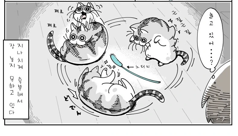귀여운 고양이 큐루가.manhwa - 이미지 6