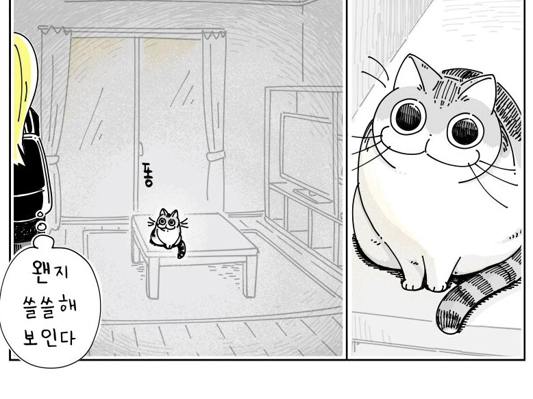 귀여운 고양이 큐루가.manhwa - 이미지 8