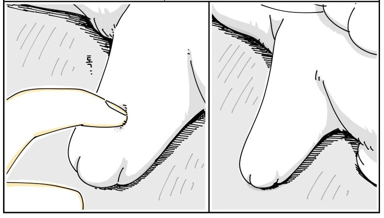 귀여운 고양이 큐루가.manhwa - 이미지 12
