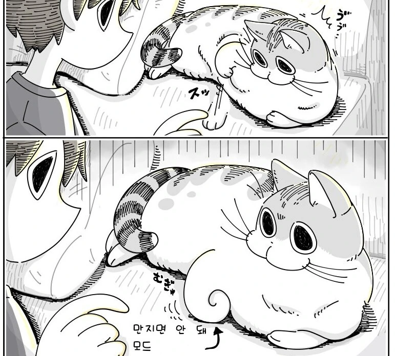 귀여운 고양이 큐루가.manhwa - 이미지 13