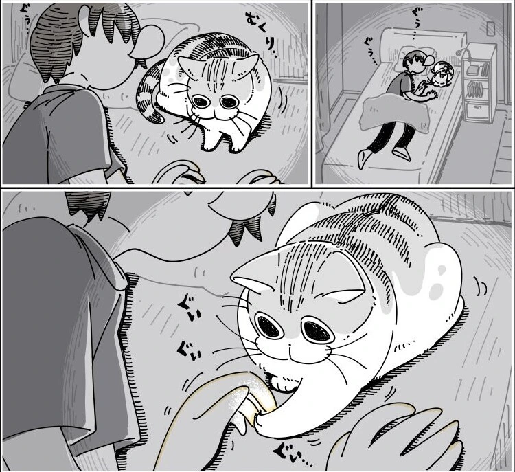 귀여운 고양이 큐루가.manhwa - 이미지 15