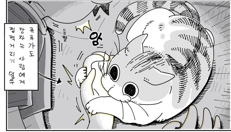 귀여운 고양이 큐루가.manhwa - 이미지 16