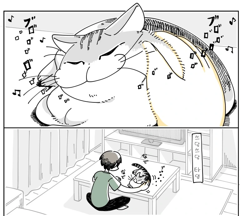 귀여운 고양이 큐루가.manhwa - 이미지 17