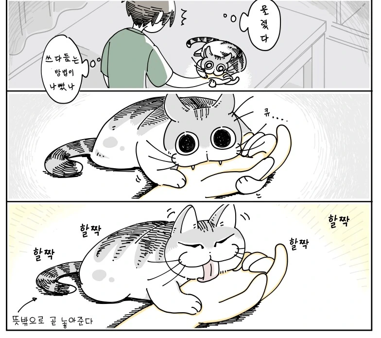 귀여운 고양이 큐루가.manhwa - 이미지 20