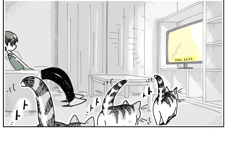귀여운 고양이 큐루가.manhwa - 이미지 24