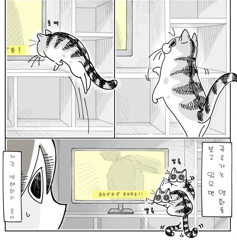 귀여운 고양이 큐루가.manhwa - 이미지 26