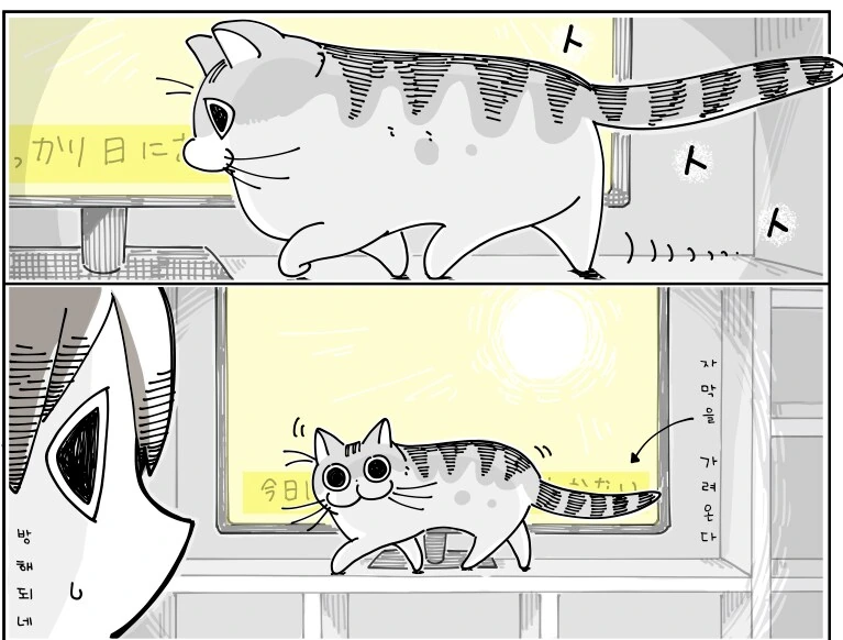 귀여운 고양이 큐루가.manhwa - 이미지 27