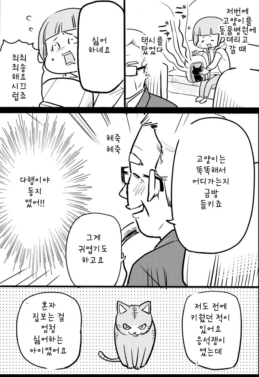 택시에 고양이 태우고 가는 만화