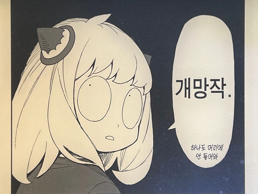 스파이패밀리 12권 보는데 쓸만한 짤 찾았다