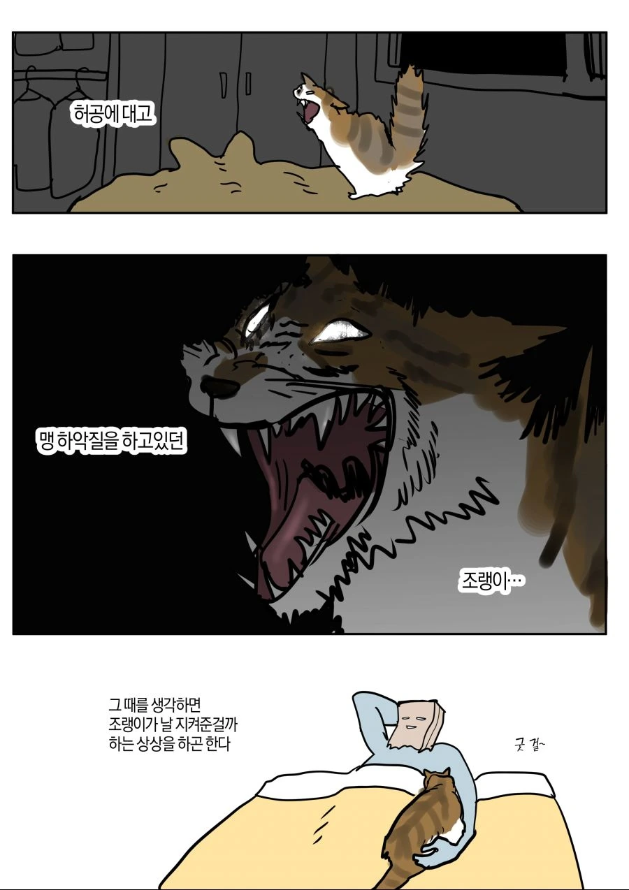 고앵이가 가위 풀어 준 만화.manwha - 이미지 2