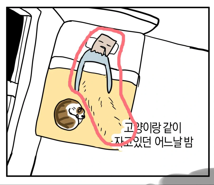 고앵이가 가위 풀어 준 만화.manwha - 이미지 3