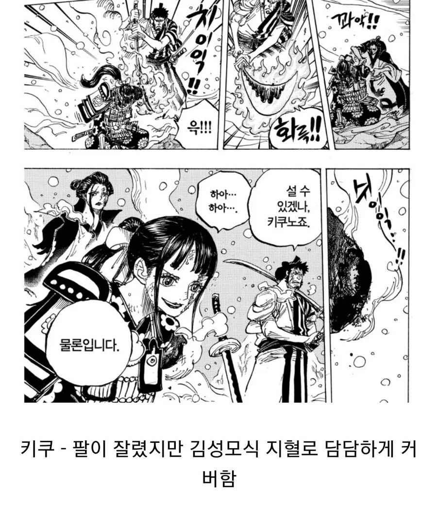 원피스)팔이 잘리면 보이는 흔한 반응들 - 이미지 8