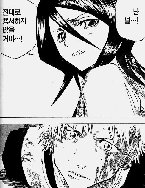 블리치) 루키아와 이치고