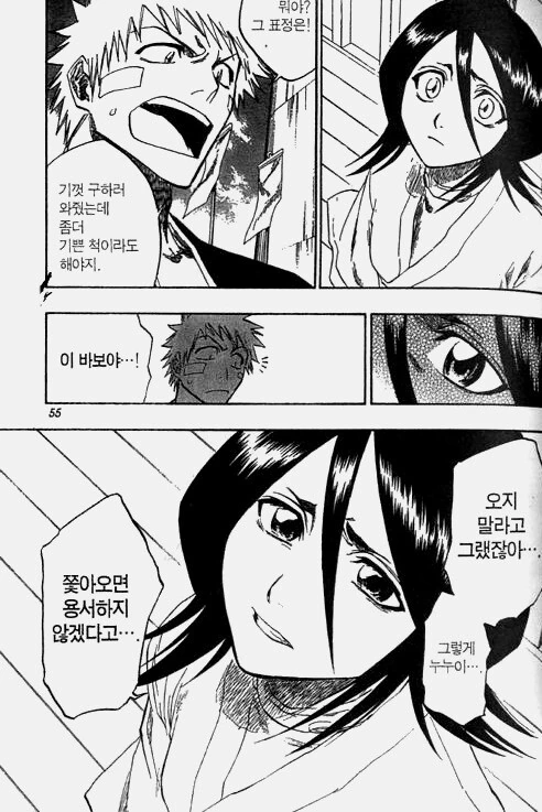 블리치) 루키아와 이치고 - 이미지 6