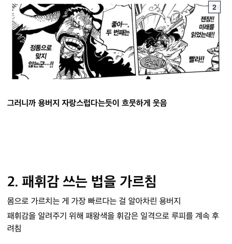 원피스)참스승 카이도 분석.manga - 이미지 3
