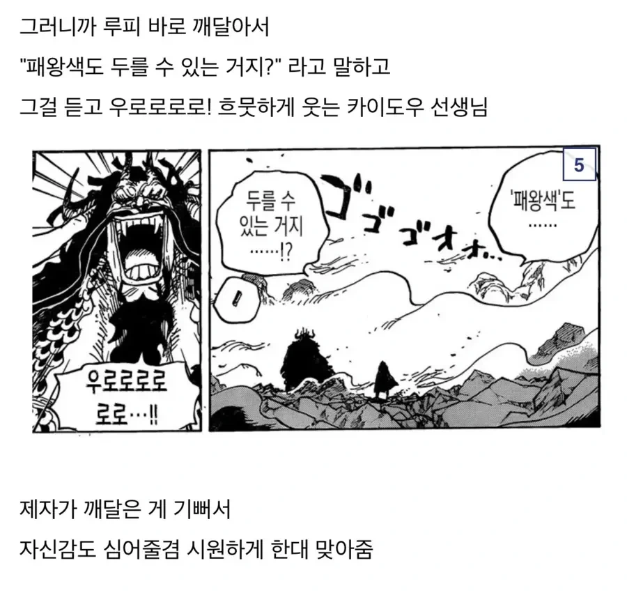 원피스)참스승 카이도 분석.manga - 이미지 5