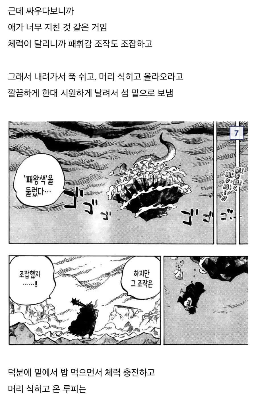 원피스)참스승 카이도 분석.manga - 이미지 7