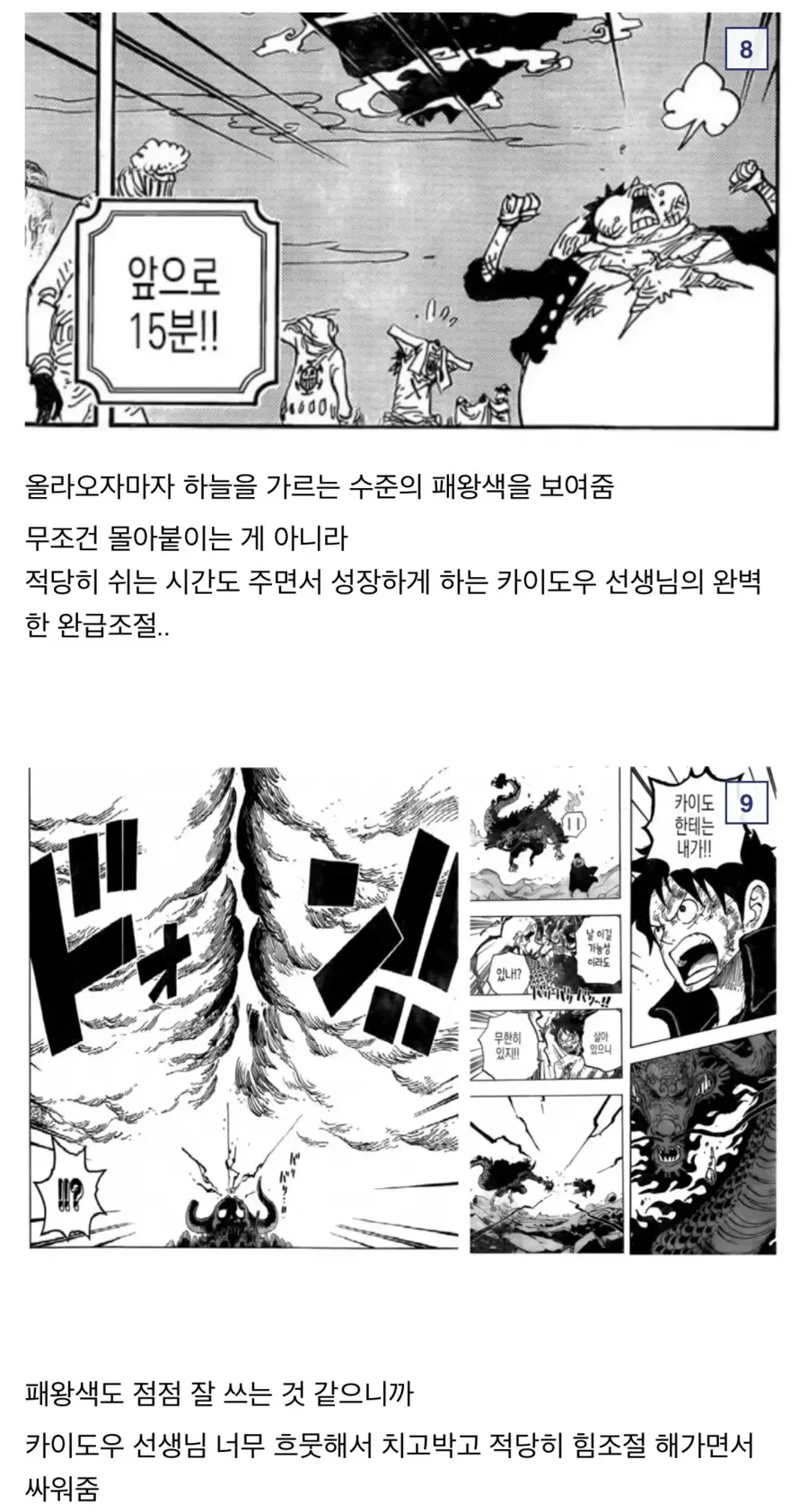 원피스)참스승 카이도 분석.manga - 이미지 8