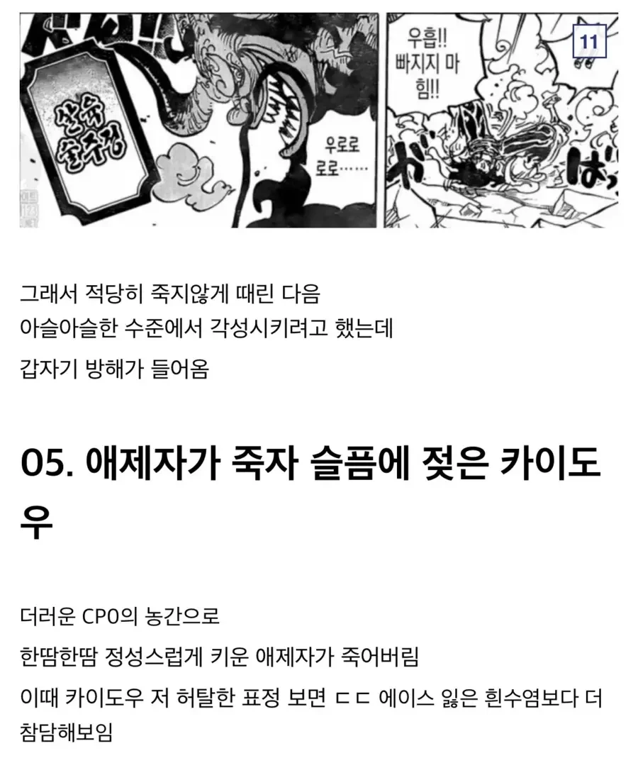 원피스)참스승 카이도 분석.manga - 이미지 10